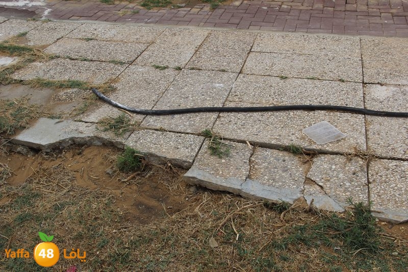 amal khayamaj3 (51).JPG